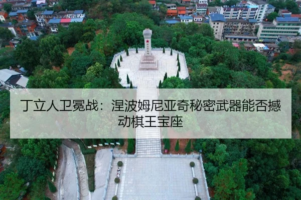 ding-li-ren-wei-mian-zhan-nie-bo-mu-ni-ya-qi-mi-mi-wu-qi-neng-fou-han-dong-qi-wang-bao-zuo-2-578.jpg