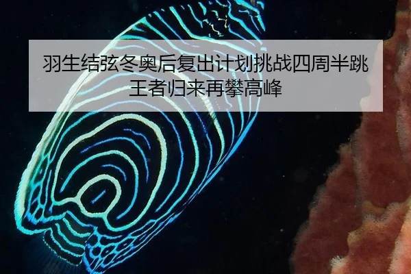 yu-sheng-jie-xian-dong-ao-hou-fu-chu-ji-hua-tiao-zhan-si-zhou-ban-tiao-wang-zhe-gui-lai-zai-pan-gao-feng-2-371.jpg