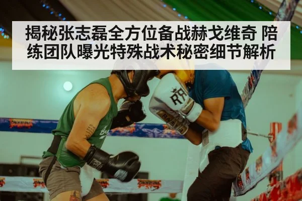 揭秘张志磊全方位备战赫戈维奇 陪练团队曝光特殊战术秘密细节解析